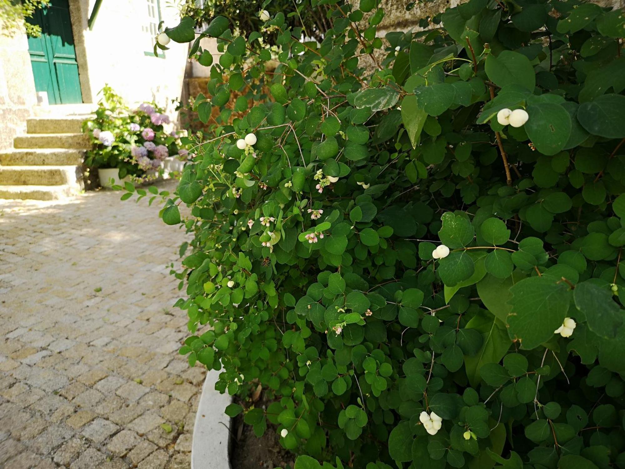 Refugio De Calheiros Villa Covilha Luaran gambar